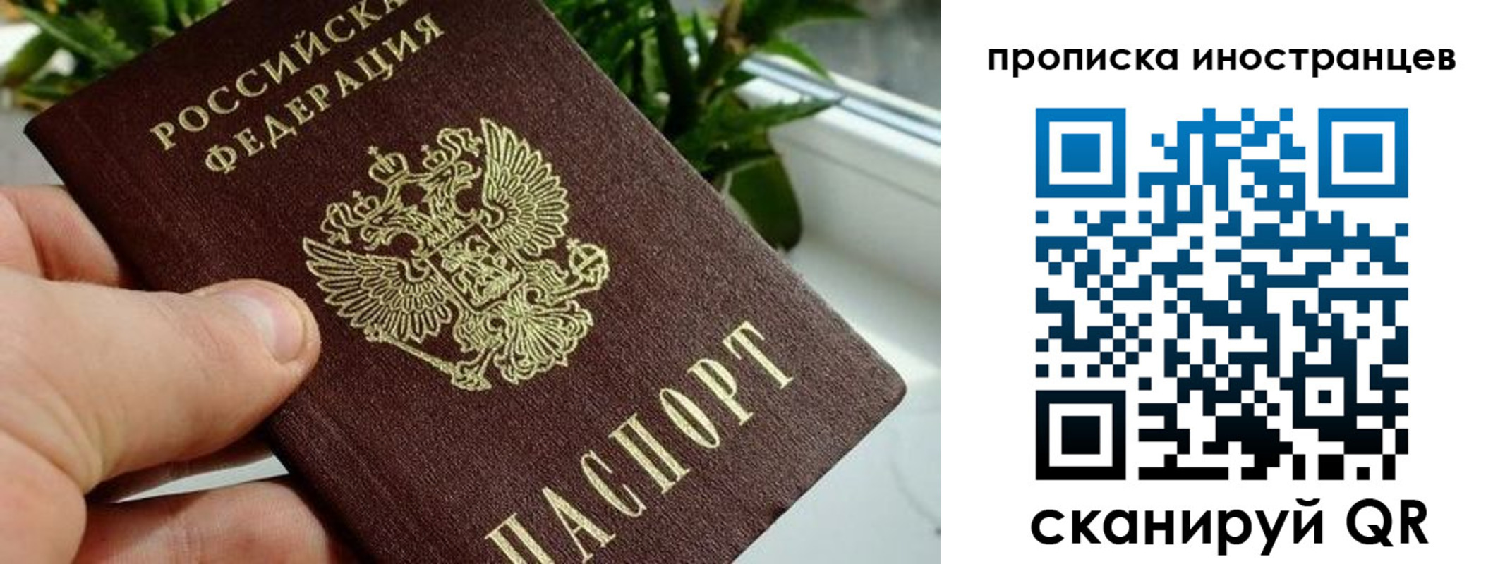 временная регистрация в Рыбном